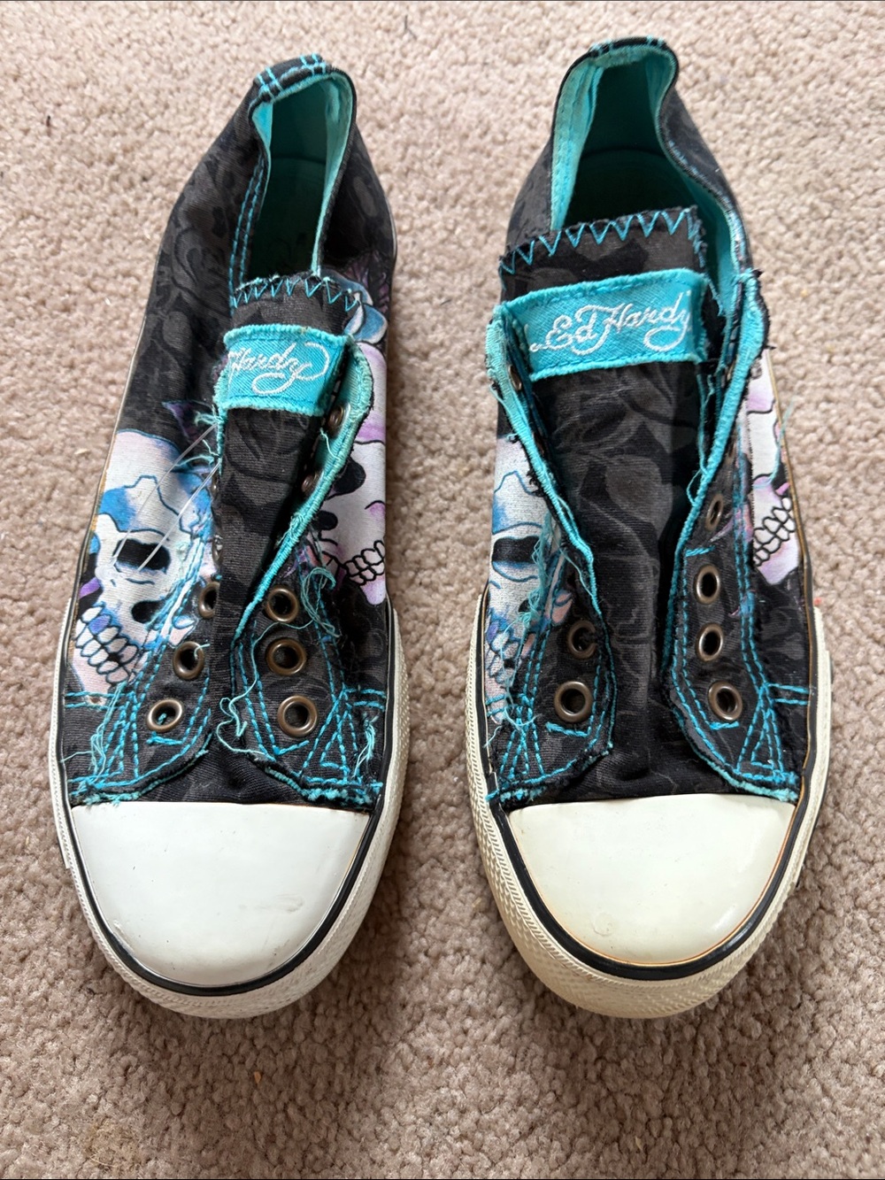 Ed Hardy Black & Teal Skull Slip-On Sneakers for Adults